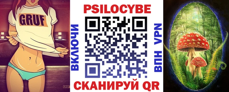 наркотики  Мончегорск  Псилоцибиновые грибы Psilocybe 
